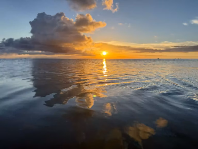 sunset